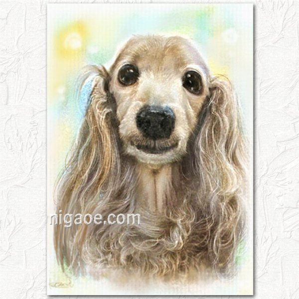 画像12: ペット似顔絵 肖像画 お顔中心 (12)