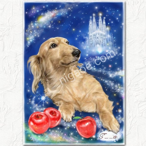 画像7: ペットの似顔絵 リアルコース(フレーム無し) (7)