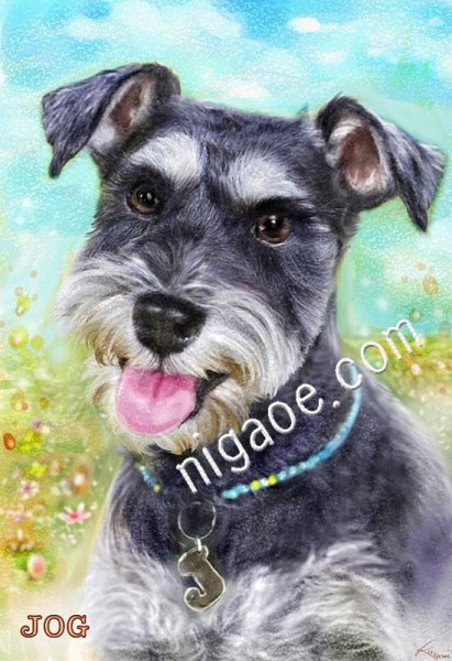 画像6: ペットの似顔絵 リアルコース(フレーム無し) (6)