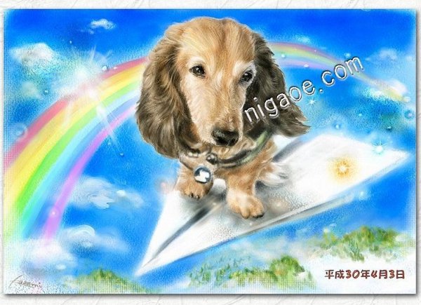 画像7: ペット似顔絵 安心チェックコース(手直し無料) (7)