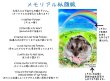 画像5: ペット似顔絵 メモリアル 2Lサイズ〜A4サイズ 送料185円 (5)