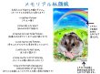 画像40: ペット似顔絵  メモリアル 虹の橋  (額入り)  (40)