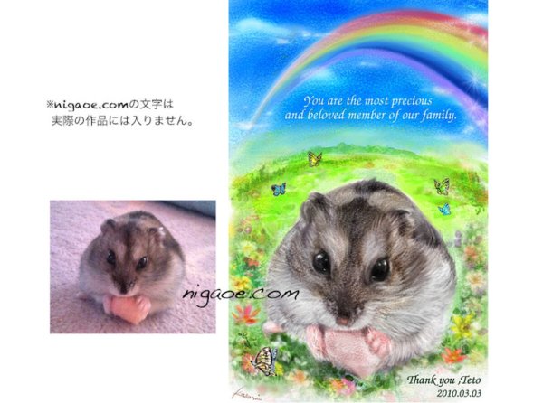 画像24: 送料185円 ペット似顔絵  メモリアル 虹の橋  (フィットフレーム)  (24)