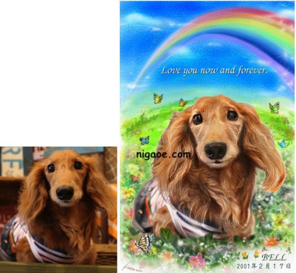 画像19: 送料185円 ペット似顔絵  メモリアル 虹の橋  (フィットフレーム)  (19)