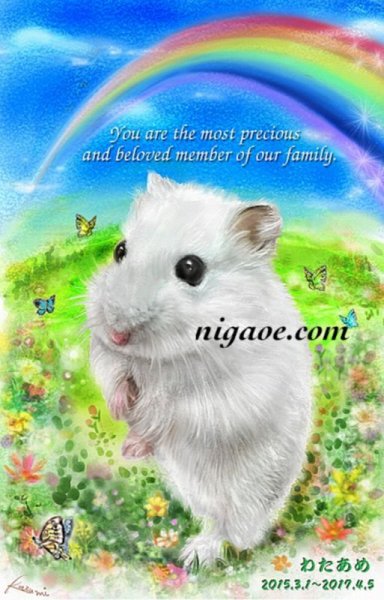 画像42: ペット似顔絵  メモリアル 虹の橋  (額入り)  (42)