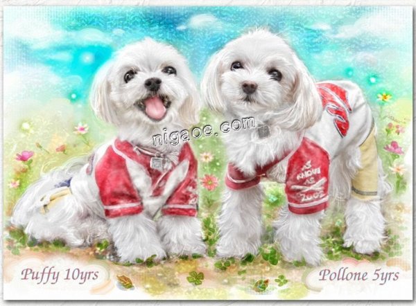 画像14: ペット似顔絵 安心チェックコース(手直し無料) (14)