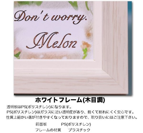 画像46: ペット似顔絵  メモリアル 虹の橋  (額入り)  (46)