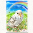 画像37: ペット似顔絵  メモリアル 虹の橋  (額入り)  (37)