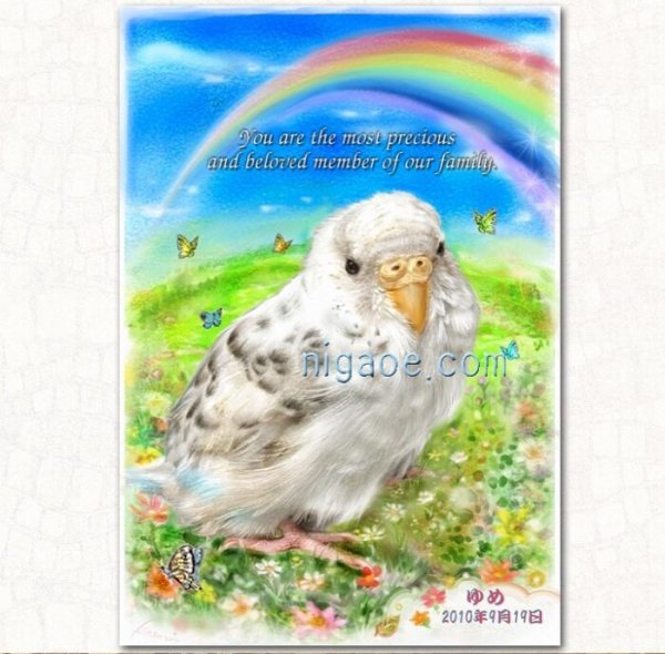 画像40: ペット似顔絵  メモリアル 虹の橋  (額入り)  (40)