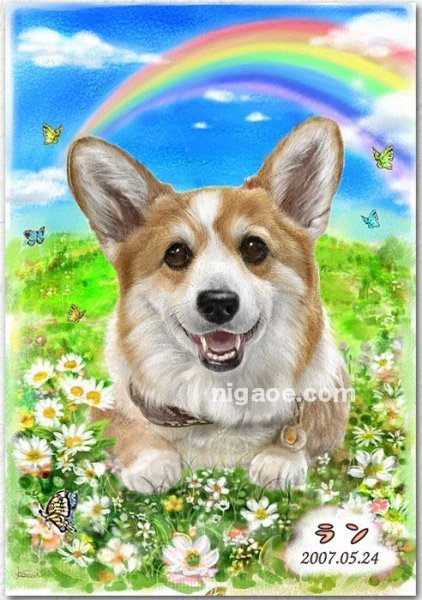 画像27: ペット似顔絵  メモリアル 虹の橋  (額入り)  (27)