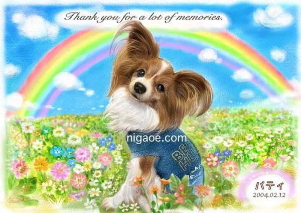 画像11: ペット似顔絵  リアルコース (11)