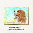 画像6: ペット似顔絵 おしゃれなフィットフレーム入り 送料185円 (6)