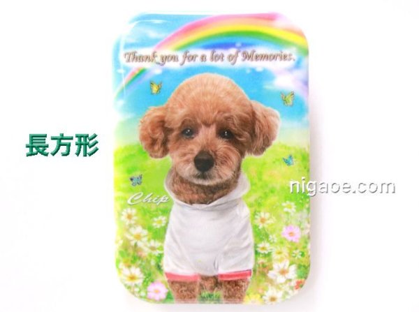 画像9: うちの子缶バッジ　3個セット (9)