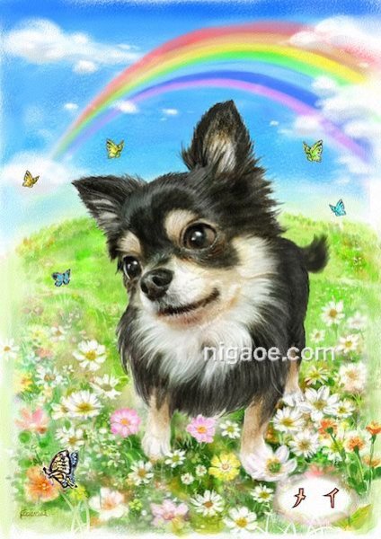 画像9: ペット似顔絵  メモリアル 虹の橋  (額入り)  (9)