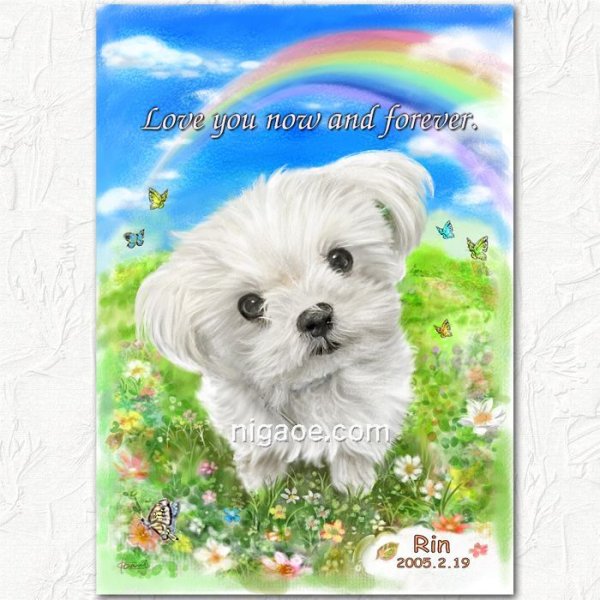 画像17: 送料185円 ペット似顔絵  メモリアル 虹の橋  (フィットフレーム)  (17)