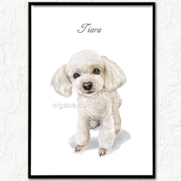 画像4: ペット似顔絵 手直し可能 送料185円 (4)