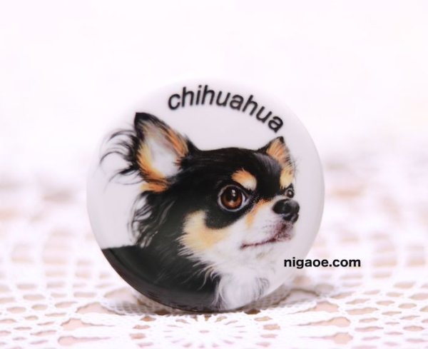 画像4: うちの子缶バッジ　3個セット (4)