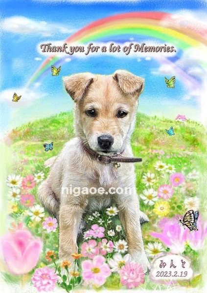 画像15: 送料185円 ペット似顔絵  メモリアル 虹の橋  (フィットフレーム)  (15)