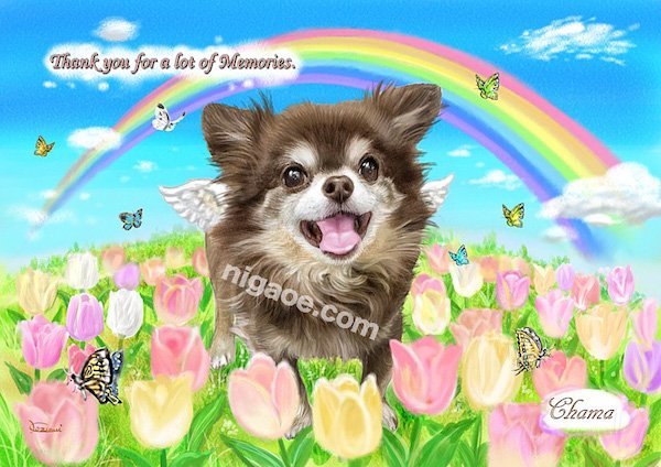 画像9: 送料185円 ペット似顔絵  メモリアル 虹の橋  (フィットフレーム)  (9)