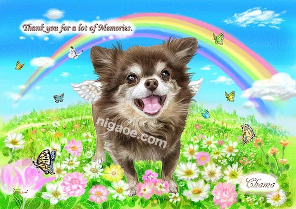 画像8: 送料185円 ペット似顔絵  メモリアル 虹の橋  (フィットフレーム)  (8)