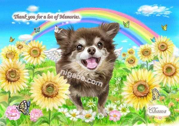 画像10: 送料185円 ペット似顔絵  メモリアル 虹の橋  (フィットフレーム)  (10)