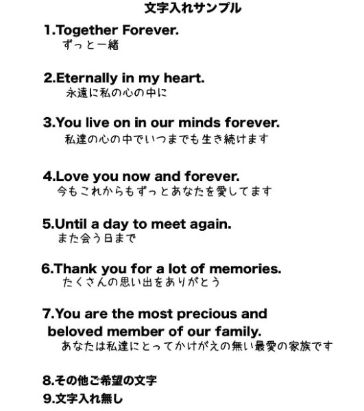 画像6: 送料185円 ペット似顔絵  メモリアル 虹の橋  (フィットフレーム)  (6)