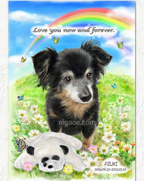 画像23: ペット似顔絵  メモリアル 虹の橋  (額入り)  (23)