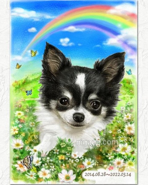 画像18: 送料185円 ペット似顔絵  メモリアル 虹の橋  (フィットフレーム)  (18)