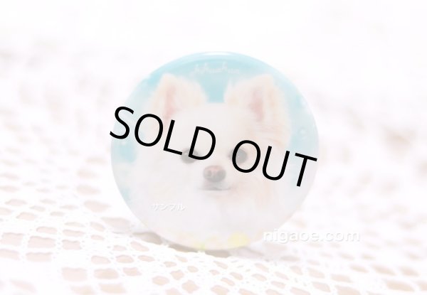 画像2: チワワちゃんの缶バッジ　44mm　1 (2)