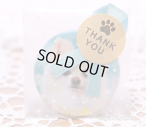 画像3: チワワちゃんの缶バッジ　44mm　1 (3)