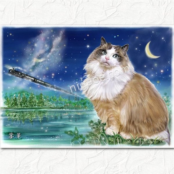 画像29: ペット似顔絵  リアルコース (29)