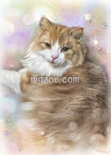 画像27: ペット似顔絵  リアルコース (27)