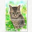 画像34: ペット似顔絵  リアルコース (34)