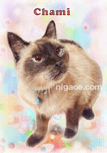 画像36: ペット似顔絵  リアルコース (36)