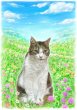 画像27: ペット似顔絵  リアルコース (27)