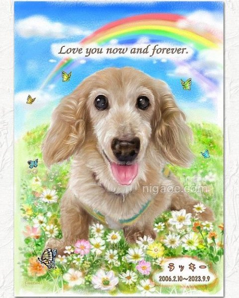 画像12: 送料185円 ペット似顔絵  メモリアル 虹の橋  (フィットフレーム)  (12)