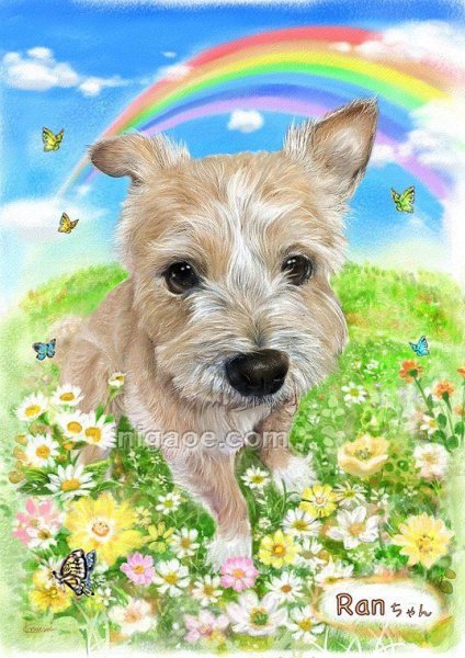 画像13: 送料185円 ペット似顔絵  メモリアル 虹の橋  (フィットフレーム)  (13)
