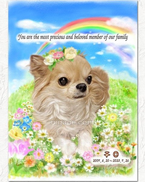 画像21: ペット似顔絵  メモリアル 虹の橋  (額入り)  (21)