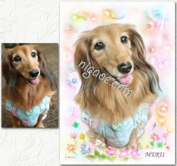 画像24: ペット似顔絵  リアルコース (24)