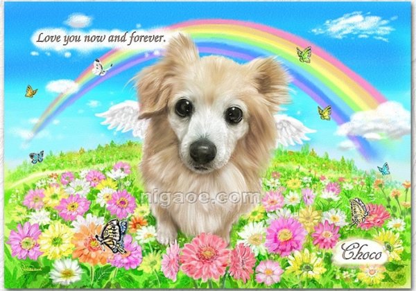 画像19: ペット似顔絵  メモリアル 虹の橋  (額入り)  (19)