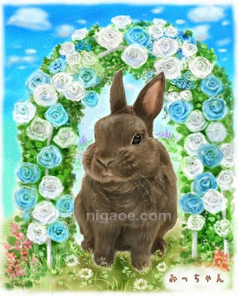 画像31: ペット似顔絵  リアルコース (31)