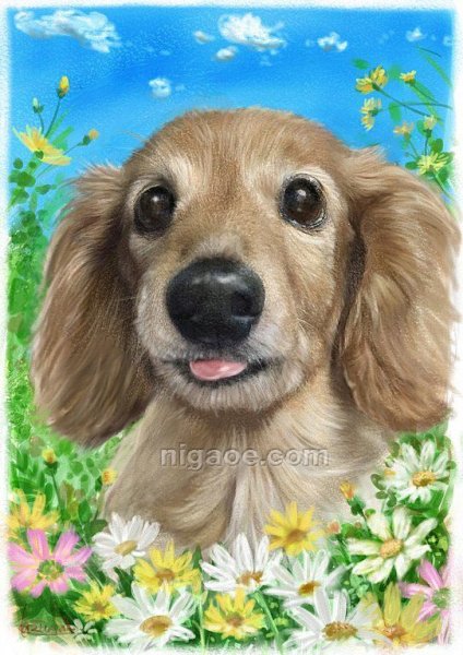 画像23: ペット似顔絵 安心チェックコース(手直し無料) (23)