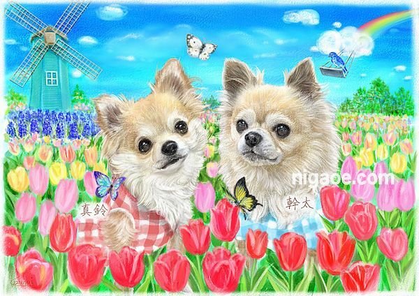 画像21: ペット似顔絵 安心チェックコース(手直し無料) (21)