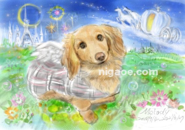 画像4: A様専用フォーム ペット似顔絵 プレミアムコース 2 (4)