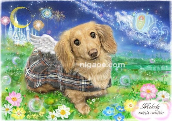 画像5: A様専用フォーム ペット似顔絵 プレミアムコース 2 (5)