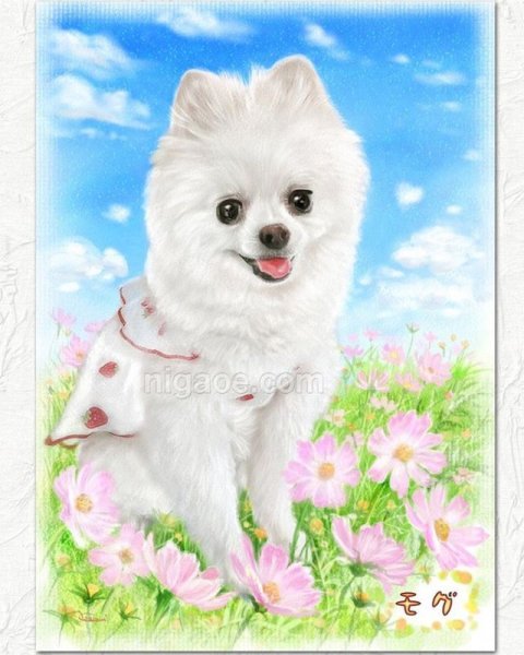 画像15: ペットの似顔絵 リアルコース(フレーム無し) (15)