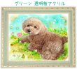 画像42: ペット似顔絵  リアルコース (42)
