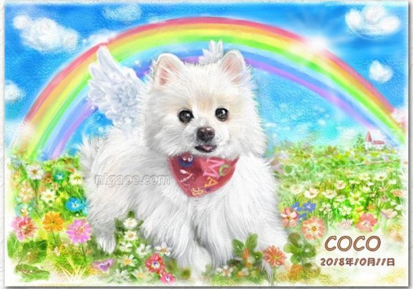 画像19: ペットの似顔絵 リアルコース(フレーム無し) (19)