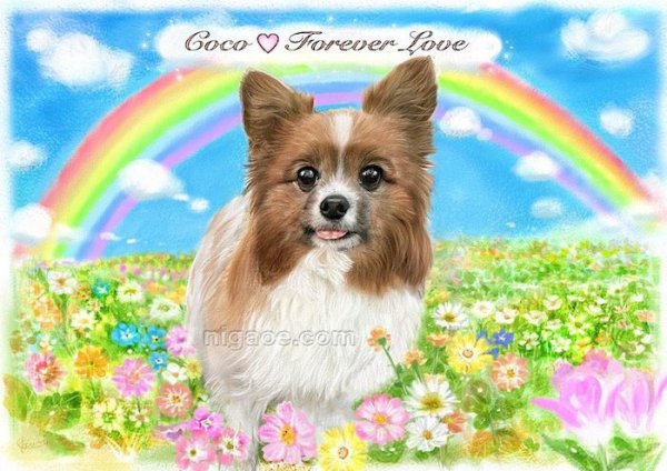 画像16: ペットの似顔絵 リアルコース(フレーム無し) (16)