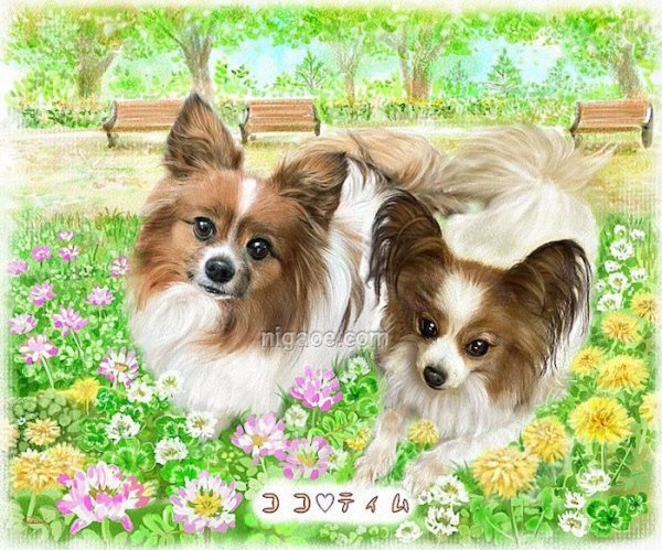 画像20: ペットの似顔絵 リアルコース(フレーム無し) (20)